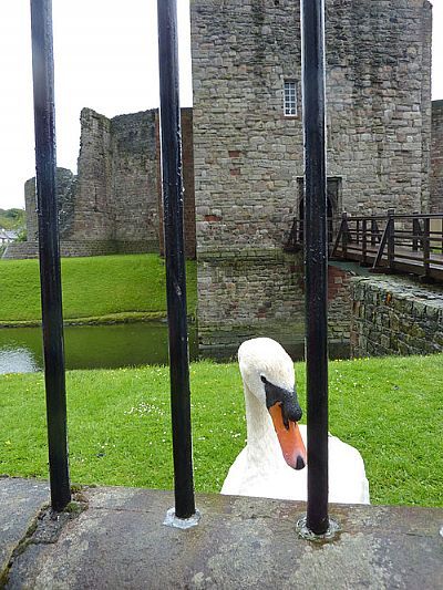 Rothesay Castle photo by Kenny Taylor